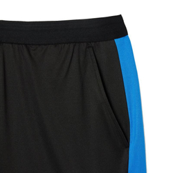 Мужские теннисные шорты Lacoste Tennis x Daniil Medvedev Regular Fit Shorts - black/blue