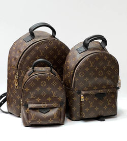 Рюкзак Louis Vuitton
