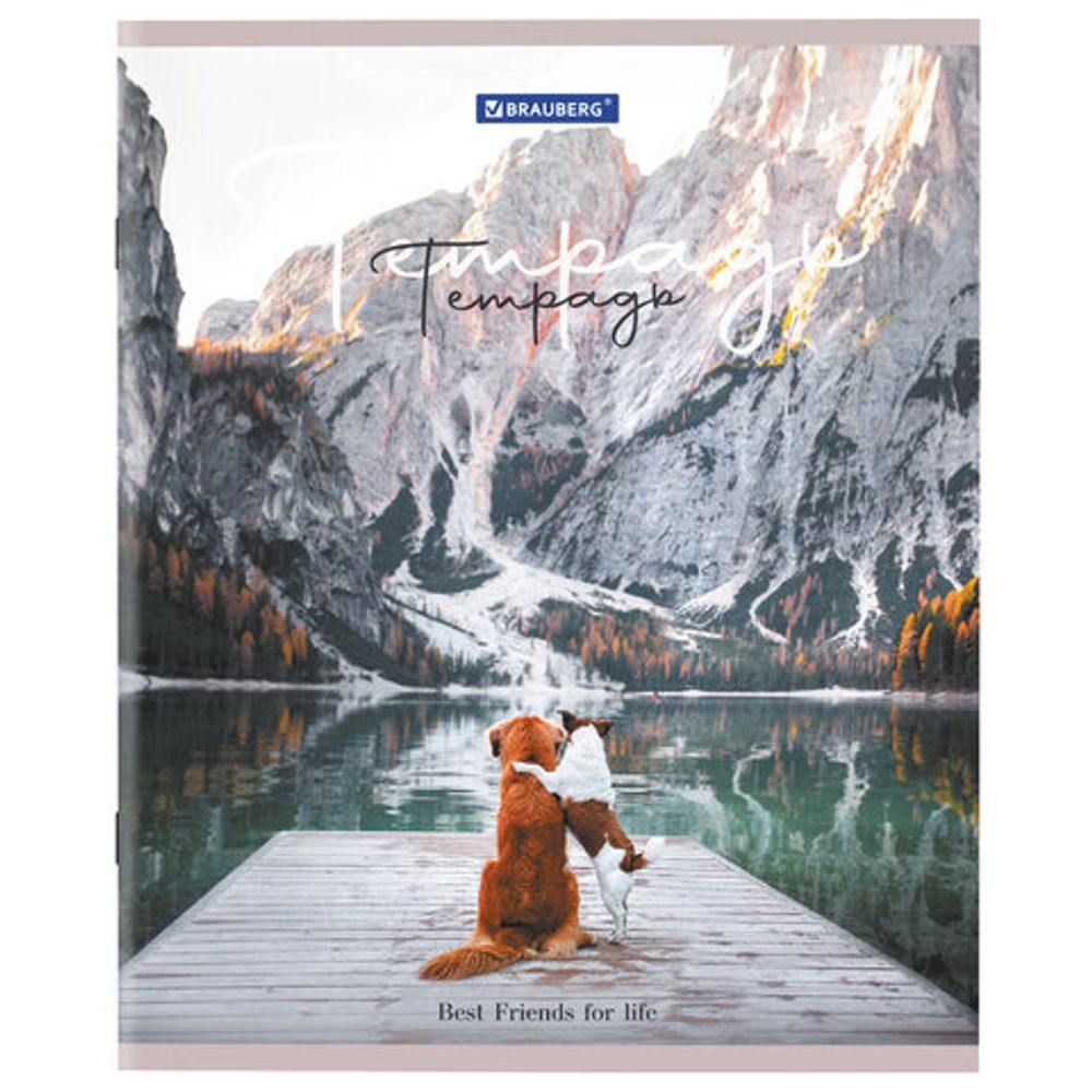 Тетрадь А5 48 л. BRAUBERG скоба, клетка, обложка картон, "Best Friends", 404360, 5шт