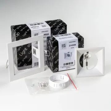 Комплект из светильника и рамки 1* GU5.3 D51606WMOD белый Domino Lightstar