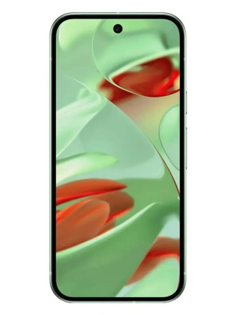 Смартфон Google Pixel 9 GUR25 12/256Gb Wintergreen