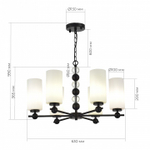 Подвесная люстра ST-Luce AURORA SL2003.403.06
