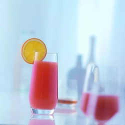 Набор бокалов для коктейля 4шт 542 мл Zwiesel Glass Pure