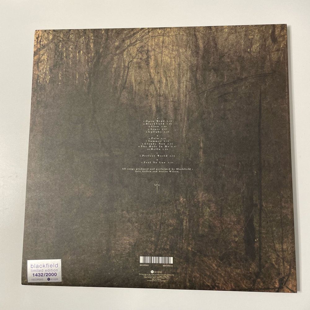 Винтажная виниловая пластинка LP Blackfield (Англия 2011)