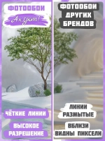 3D Объемные фотообои дерево и пещера