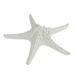 Блюдо для подачи 24 см h6 см для закусок Звезда Gray Starfish Frutti di Mare P.L. [1]