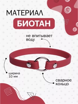 Ошейник для адресника