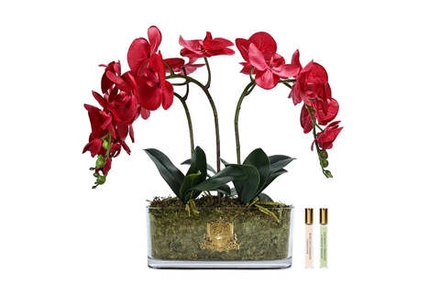 Букет ароматический Oval Orchid Red