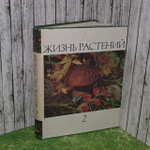 Жизнь растений. Энциклопедия в шести томах. Том 2. Грибы. Сизова Татьяна Петровна