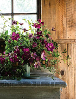In Full Flower: Inspired Designs by Floral's New Creatives