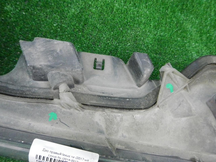 DSCN6207.JPG