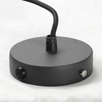 Подвесной светильник Lussole Loft Freeport LSP-9672