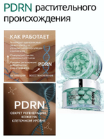 VT Cosmetics Крем для лица с капсулами PDRN 100 увлажняющий 50 мл