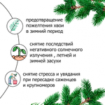 Пуршат-О концентрат для хвойных и декоративных 0,5 л