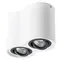 Точечный светильник Falcon A5644PL-2WH Arte Lamp