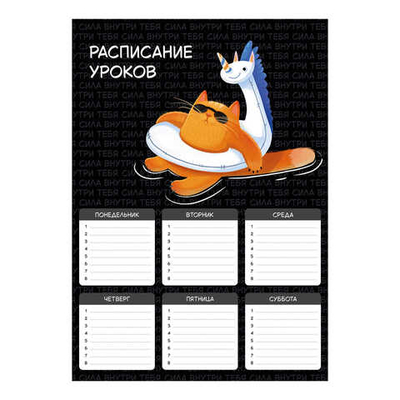 Расписание уроков А4, СУПЕРКОТ
