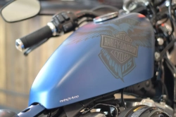 Harley-Davidson Sportster Forty-Eight 115 Anniversary (XL1200XANX)
