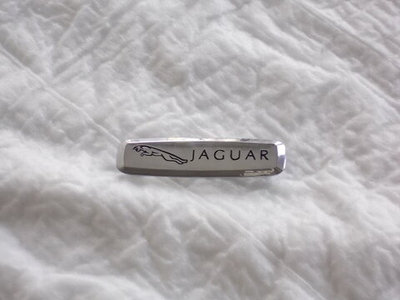 Логотип Jaguar. Цветной. Стандартный (6х1.5 см)