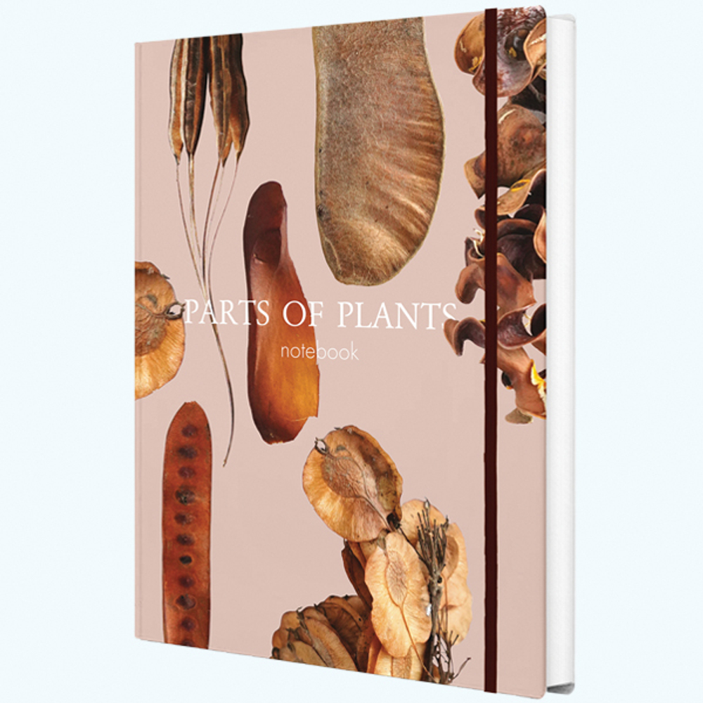 Блокнот "Parts of plants" А5 96 листов книжный переплет, сшивка