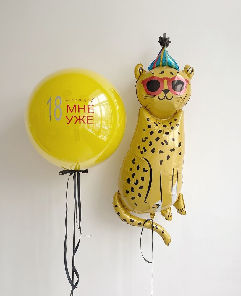 Воздушные шары №8058