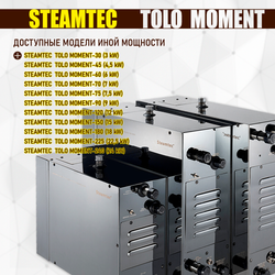 Проточный парогенератор для бани, сауны, хаммама Steamtec TOLO MOMENT