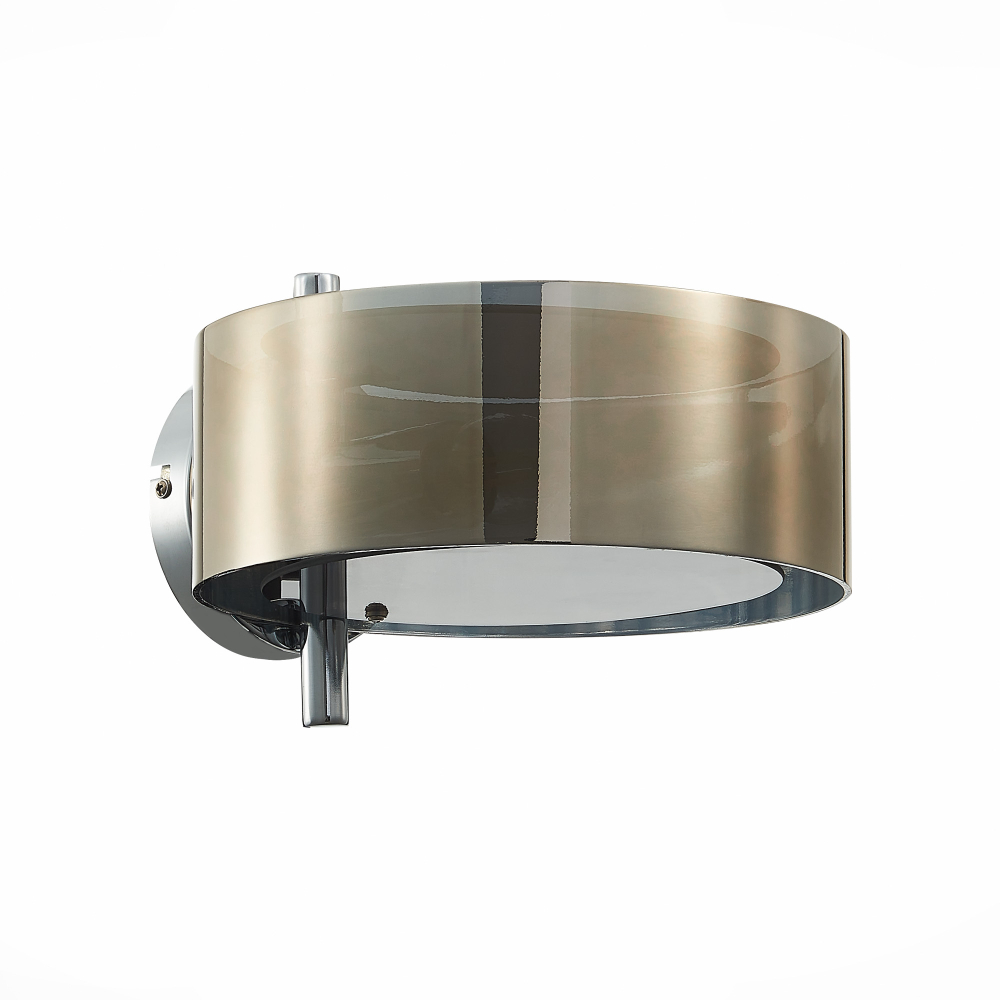 Светильник настенный Evoluce Foresta SL483.701.01