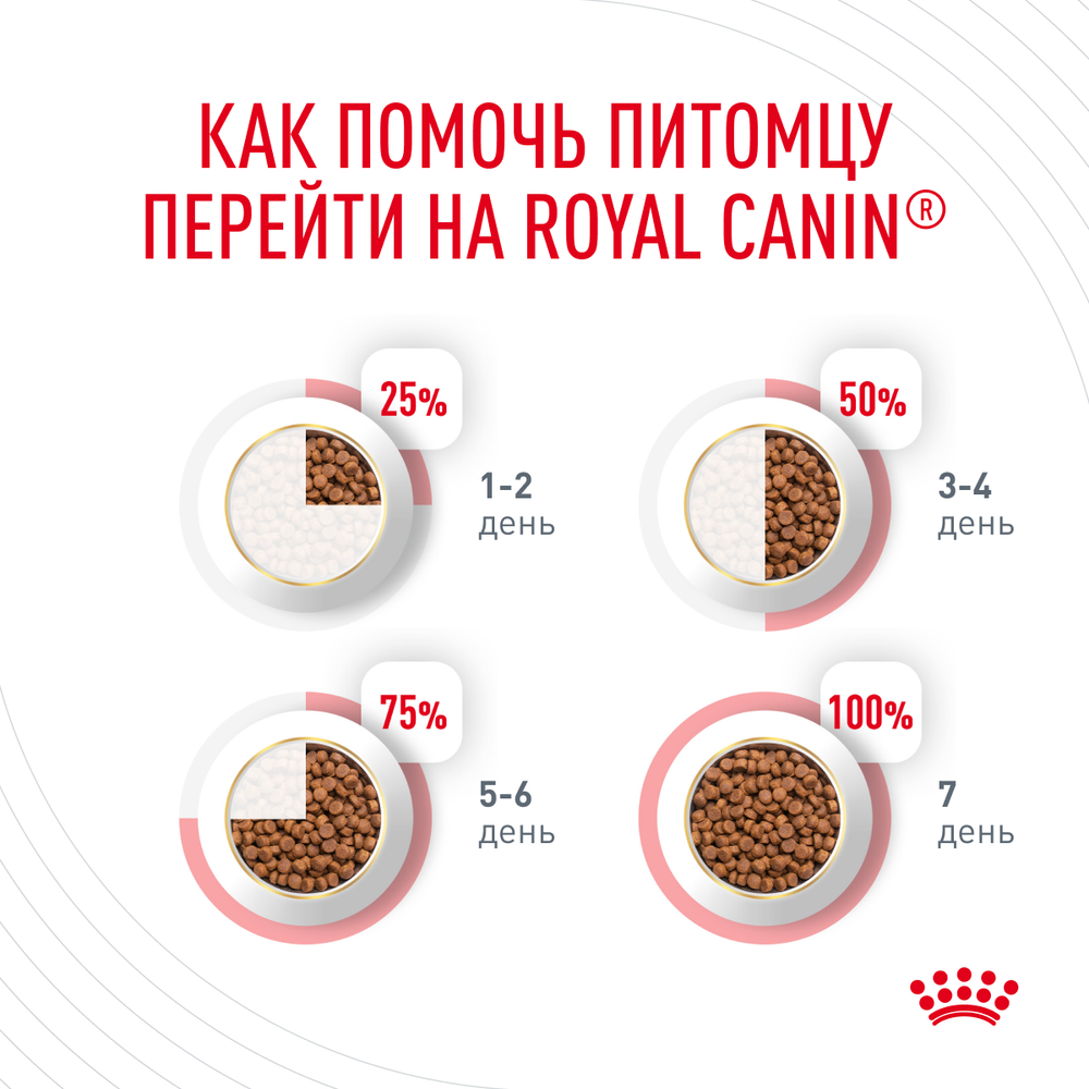 Сухой корм для кошек Royal Canin Hair & Skin Care (Роял Канин Хайбал энд скин кэа) для поддержания здоровья кожи и шерсти 400 г