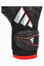 Вратарские перчатки adidas Copa Pro - черный