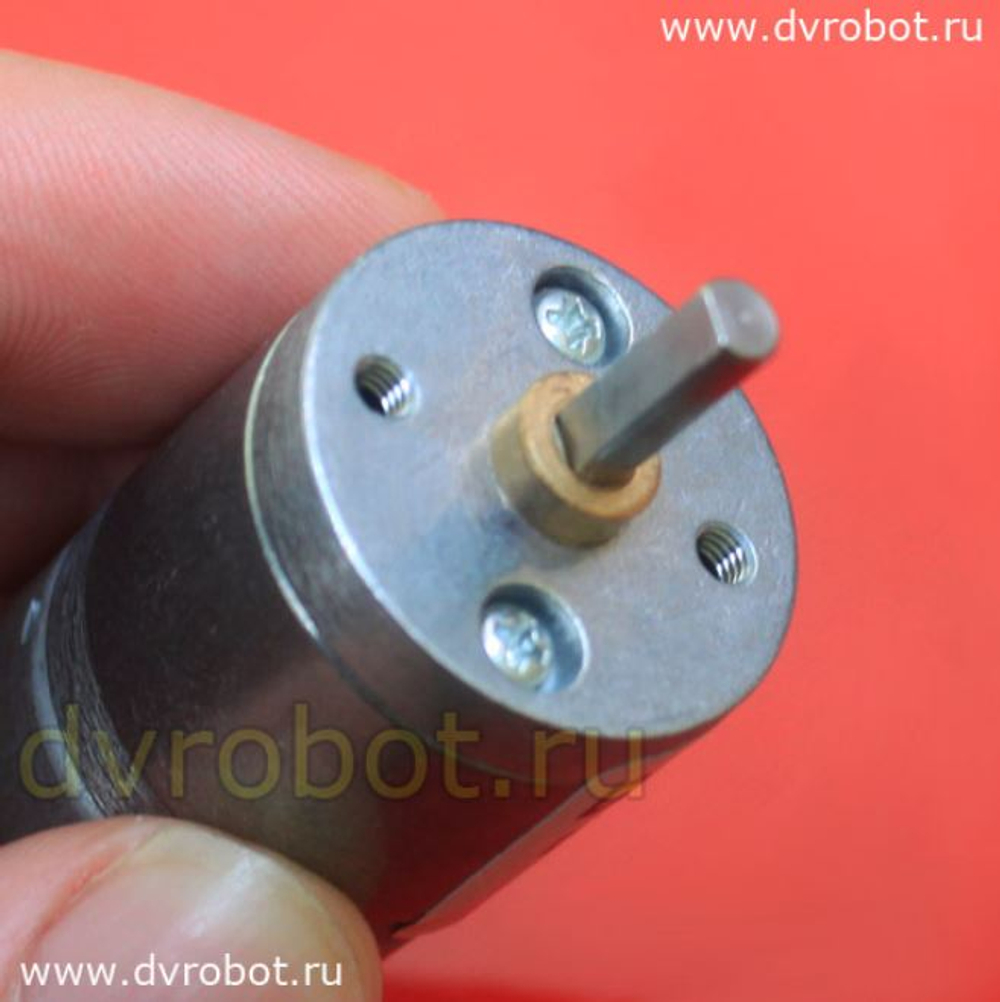Мотор-редуктор GA25Y370/6V/176
