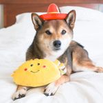 Игрушка NomNomz Тако ZippyPaws