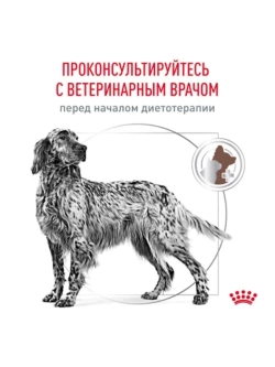 Gastrointestinal 2кг Корм для собак