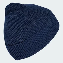 Шапка adidas Originals EV.IC BEANIE