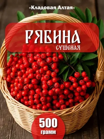 Рябина красная сушеная