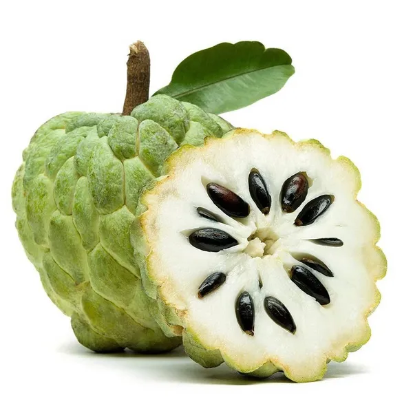 Черимойя Сахарное яблоко аннона (Annona squamosa) — семена, 5 шт.