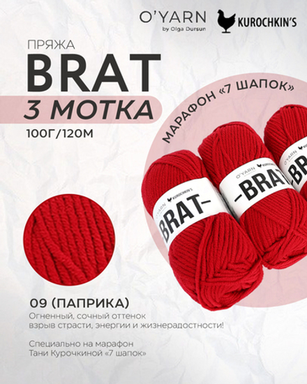 Пряжа BRAT 300г