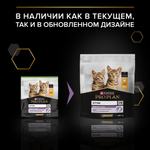 Сухой корм Pro Plan Original HEALTHY START для котят поддержание функций почек мозга и иммунитета с курицей 400 г