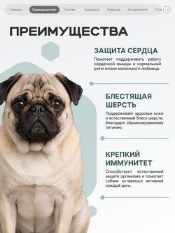 Корм для собак мелких пород SF Cardio Guard, (дилатационная кардиомиопатия), 800 гр, QUATTRO
