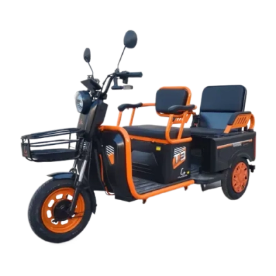 Электротрицикл Kugoo T3