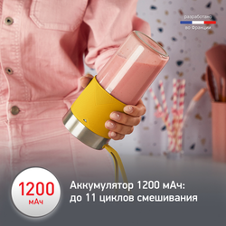 Портативный блендер Moulinex Lightmix LM1C0210