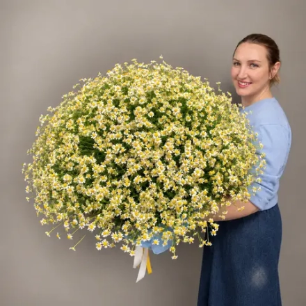 Купить Букет из 101 ромашки «Golden glow bouquet»