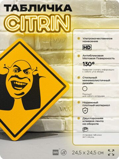 Табличка мем "Шрек" шуточная прикольная табличка на дверь и стену, для офиса и дома, декоративный знак, 24,5х24,5 см, пластиковая, Айдентика Технолоджи