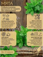 Мята болотная сушеная для свечей и эзотерики, чая
