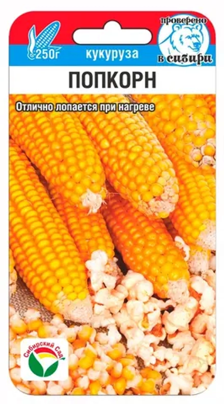 Кукуруза Попкорн 10шт (Сиб сад)