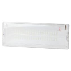 Аварийный светильник светодиодный ЭРА DPA-301-0-65 непостоянный 40LED 3ч IP65 | Светильники аварийные