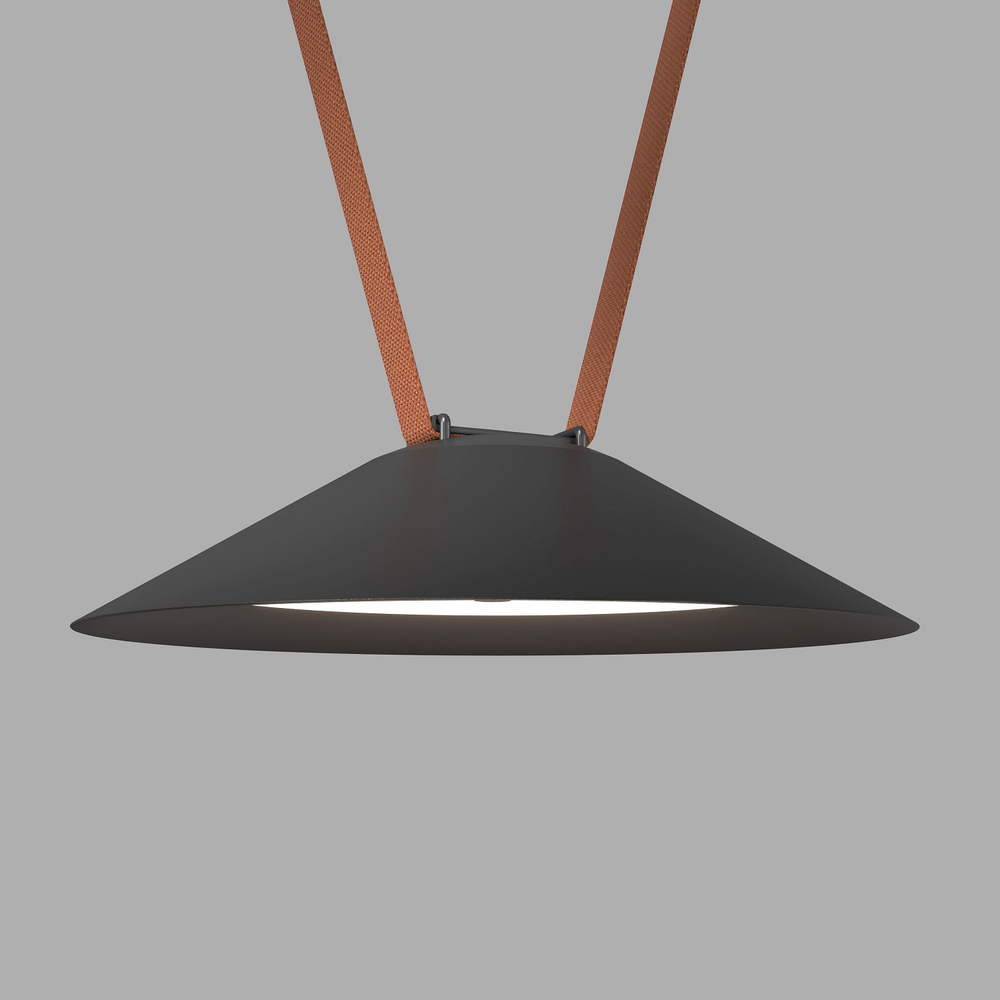 Накладной светильник Denkirs BELTY FLOW DK5564-BK