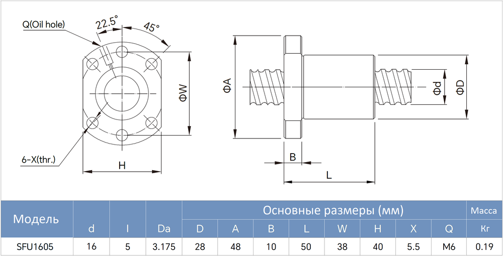 Гайка ШВП SFU1605 - чертеж с размерами