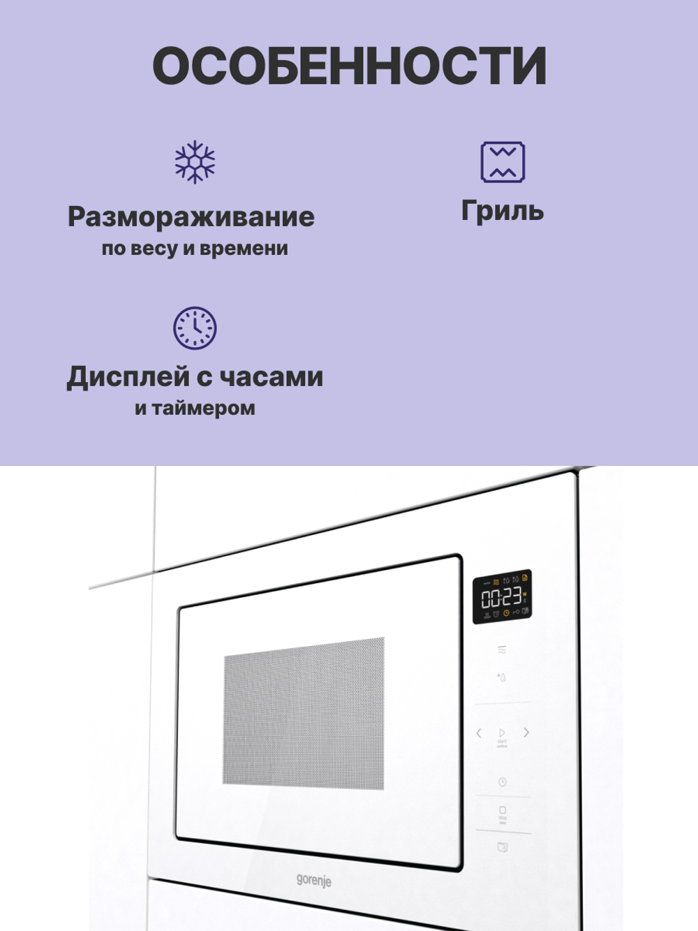 Gorenje BM251SG2WG