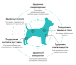 GRANDORF FRESH Свежее мясо индейки с бататом для собак мелких пород