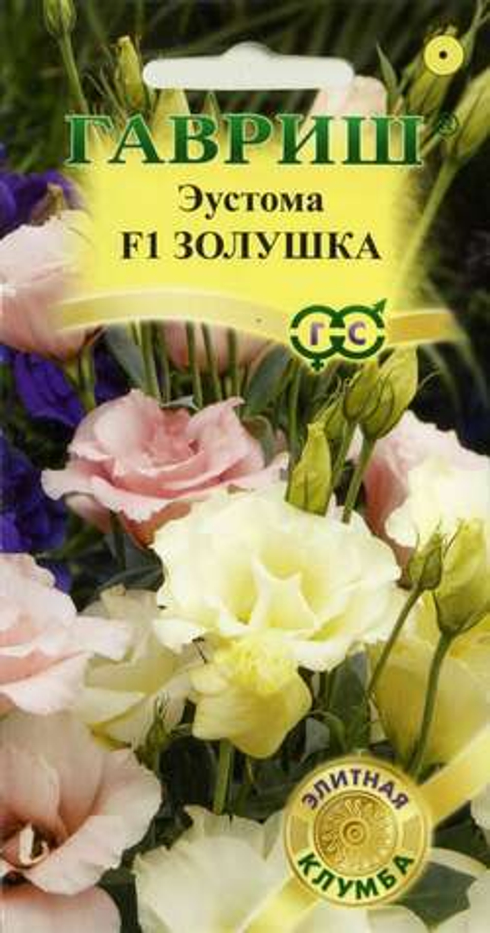 жэ