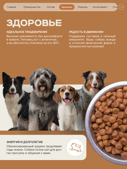 Корм сухой для пожилых собак породы Мопс старше 7 лет, с индейкой, 3 кг, QUATTRO